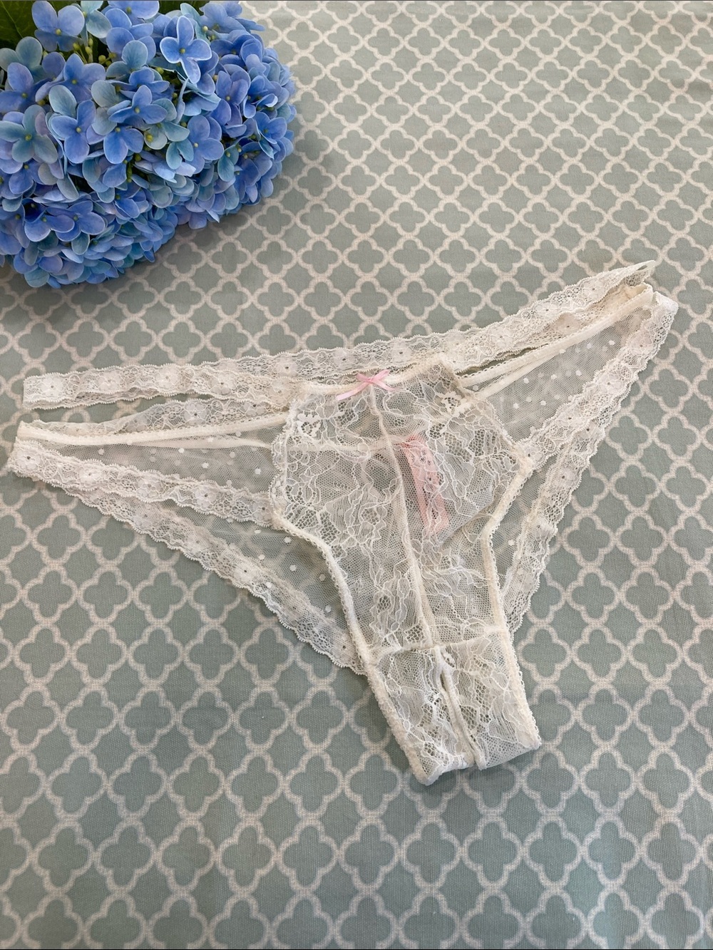 Vintage Honeydew White Lace Mesh Crotchless Open Gusset Panty 2X
